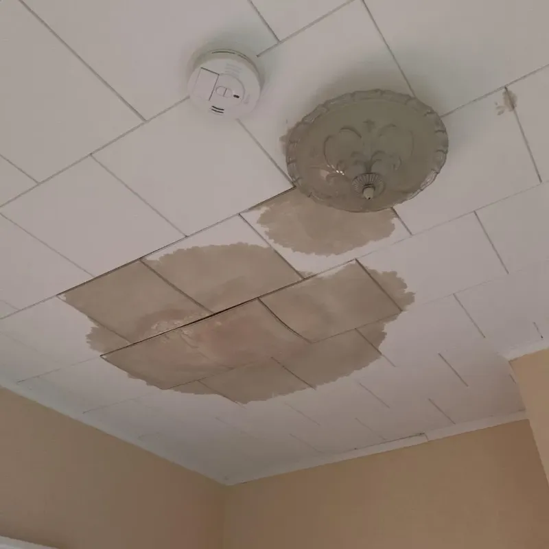 Ceiling Water Damage Repair in Beaufort, NC