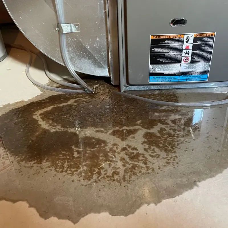 Pipe Burst and Leak Restoration in Beaufort, NC